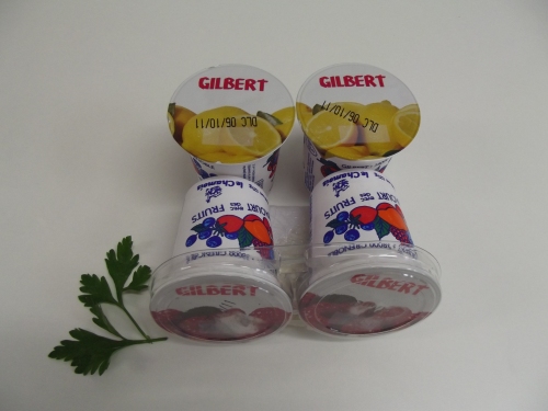 Yaourt aux fruits Gilbert 4 x 125 gr